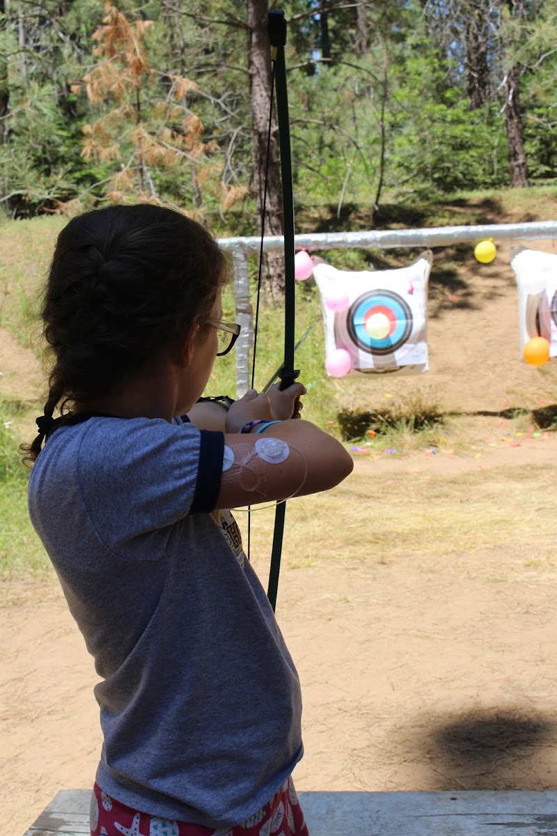 DYF (Diabetes Youth Families) photo 2