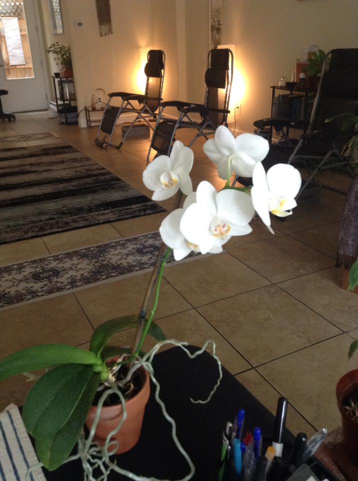 Windsor Community Acupuncture photo 4