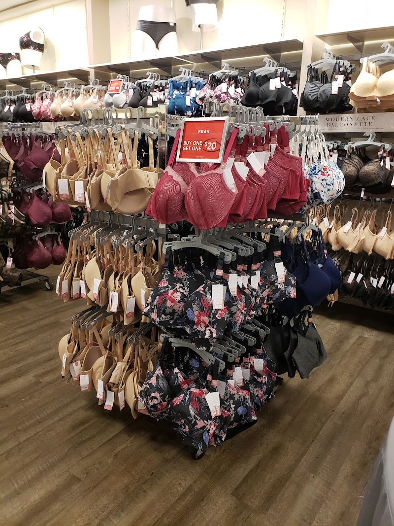 Lane Bryant Outlet photo 3
