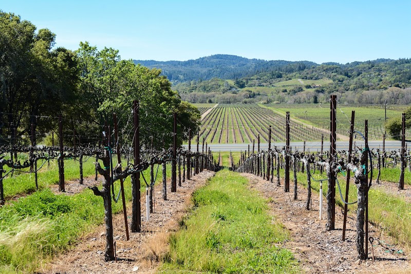 Kokomo Winery - Dry Creek Valley photo 4