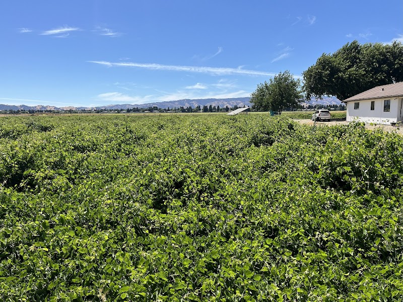 Photo of Cold Storage For Sticks (previously known as Grey Creek)