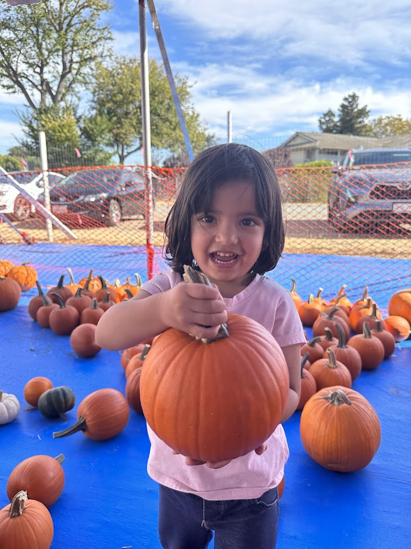 Photo of Kinderwave Childcare