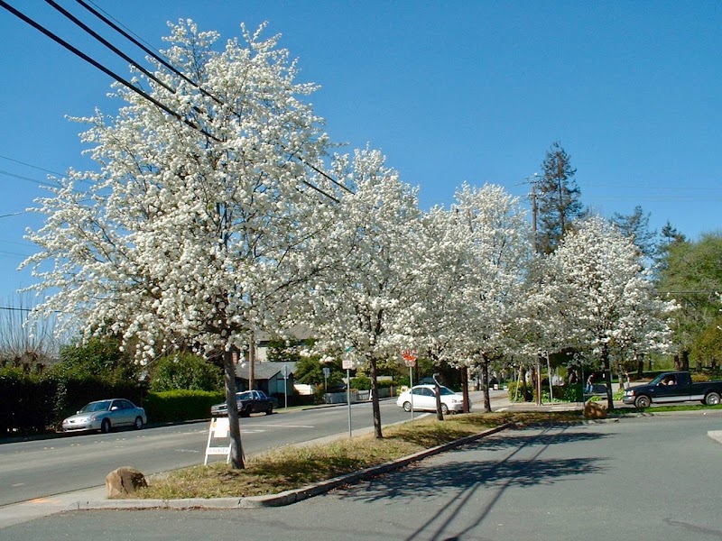 Photo of Benicia Community Health & Fitness Club