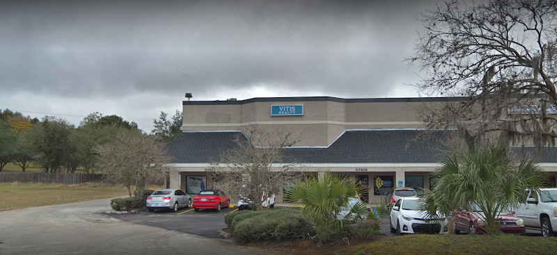 Photo of Vitis Realty