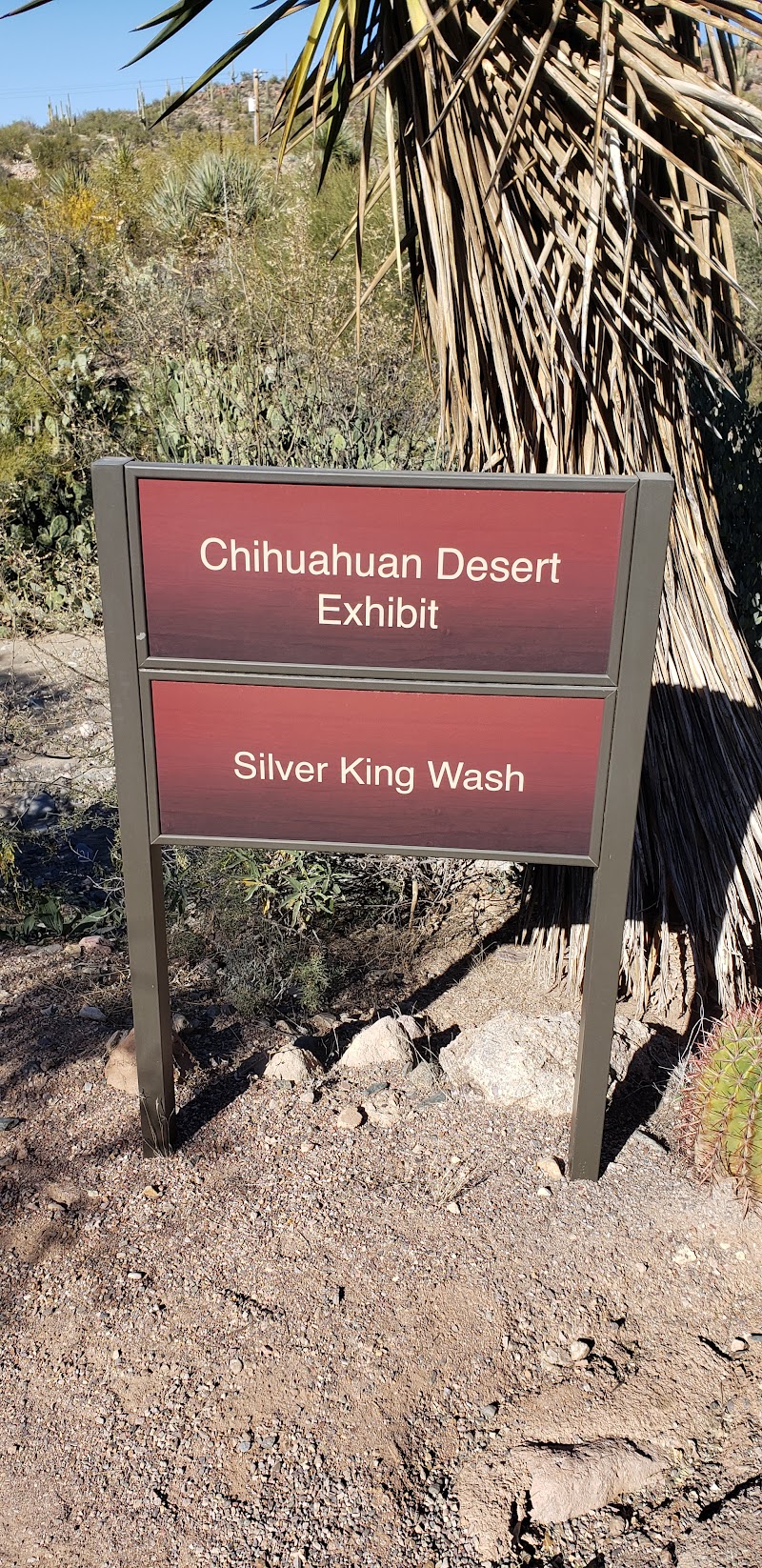 Chihuahua Desert Loop photo 4