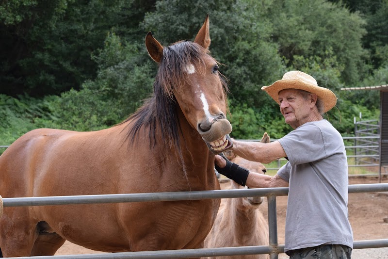 Alma Bonita Animal Rescue photo 2