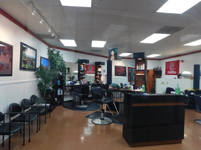 Photo of Stanford Hair