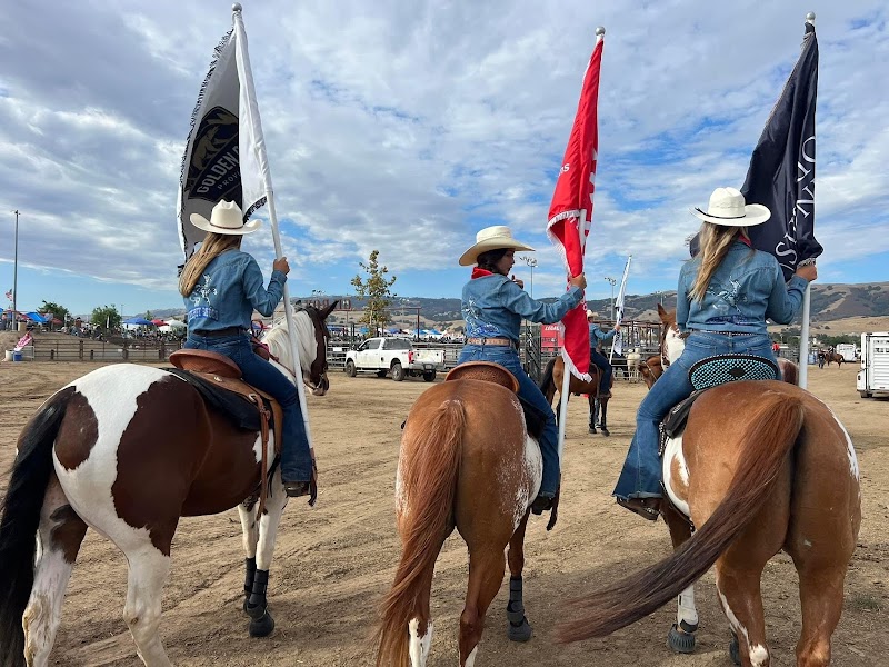 Photo of Painted Star Equestrian