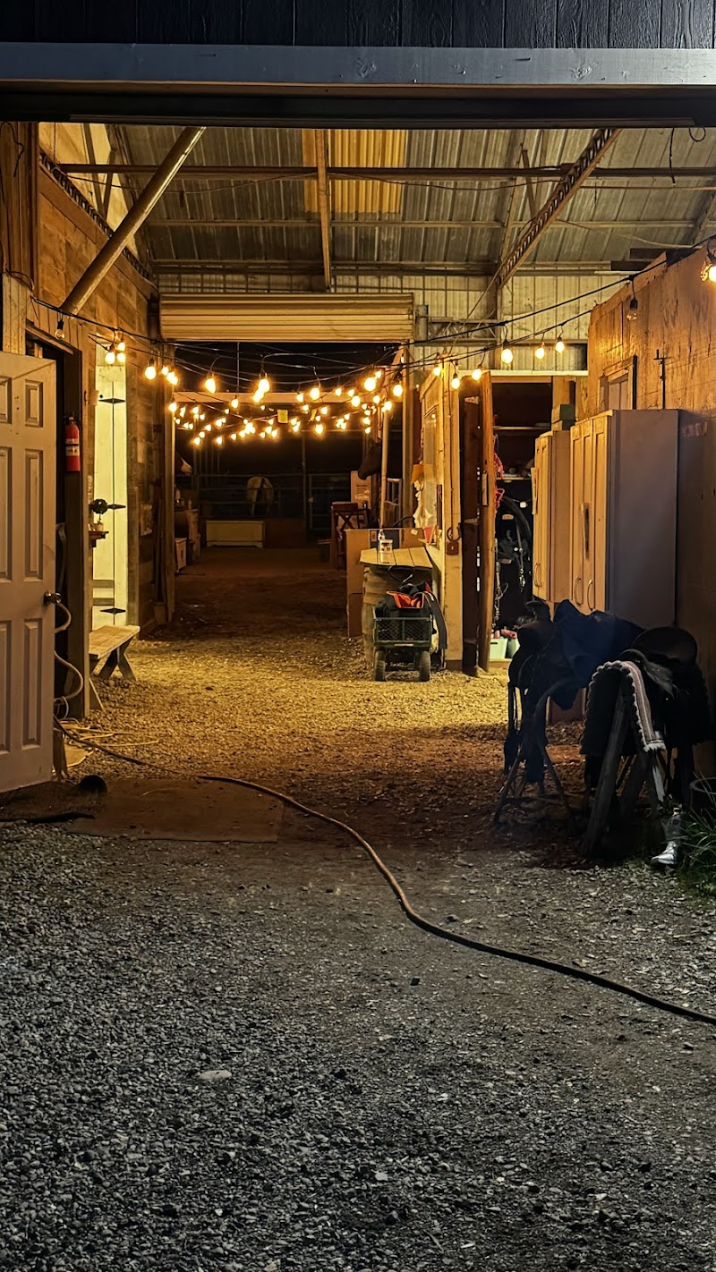 Painted Star Equestrian photo 4
