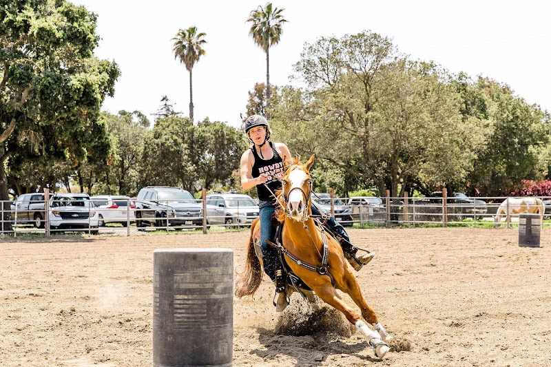 Painted Star Equestrian photo 2