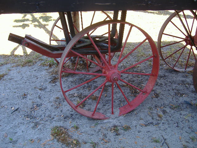 Lutz Memorial Park photo 5