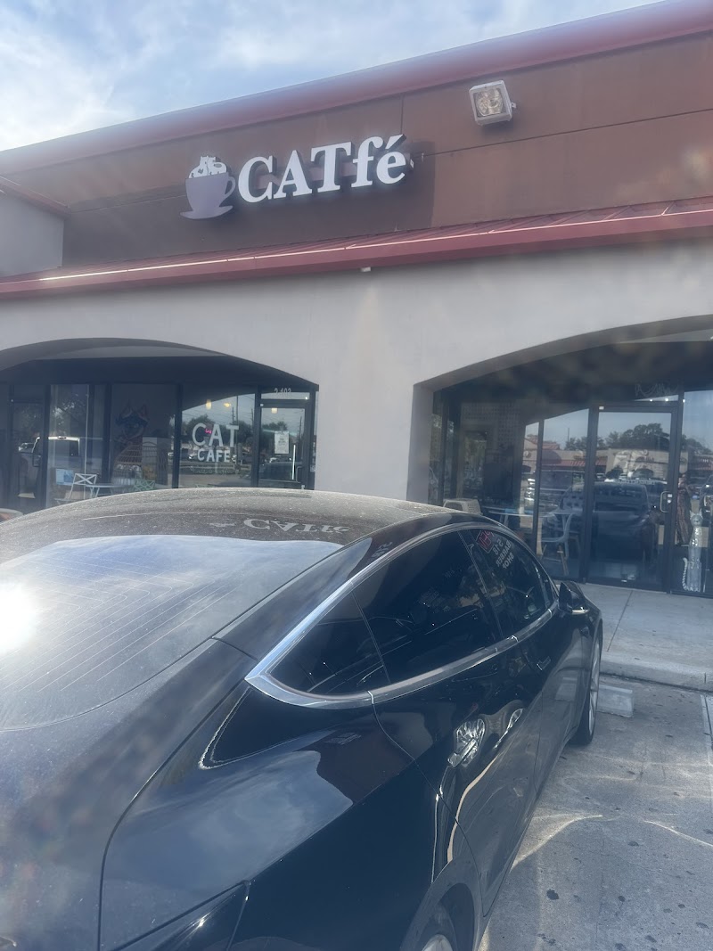 Photo of Lone Star Pawz CATfé