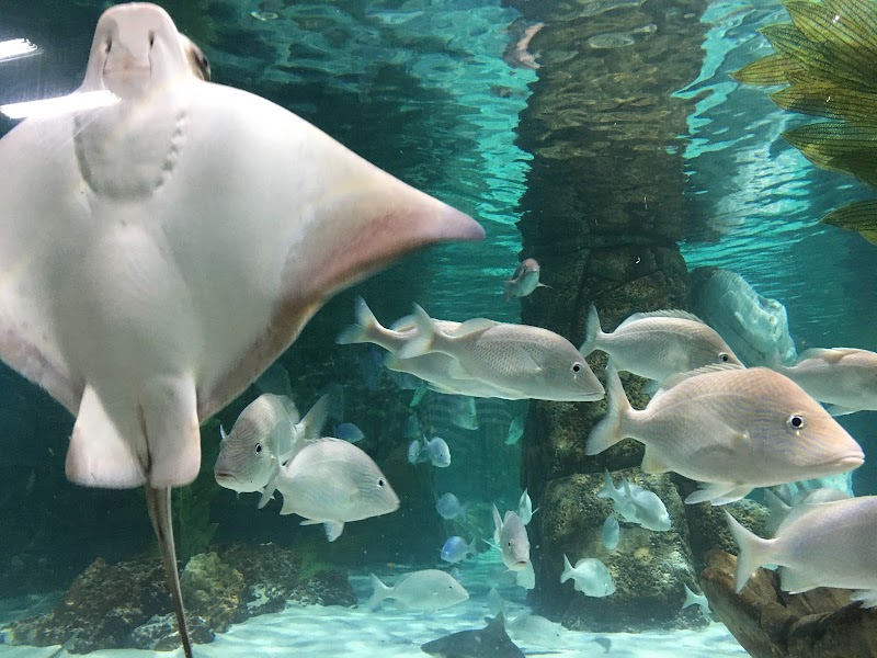Woodbridge Aquarium & Wildlife photo 5