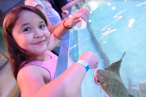 Photo of Woodbridge Aquarium & Wildlife