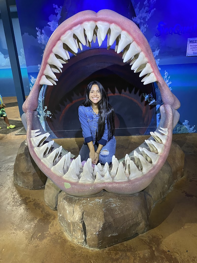 Woodbridge Aquarium & Wildlife photo 2