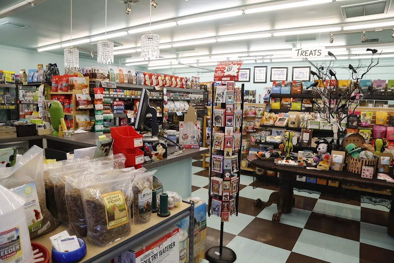 Noble Beast Pet Supplies photo 2