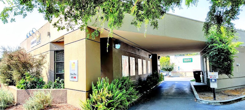 Community First Credit Union photo 3