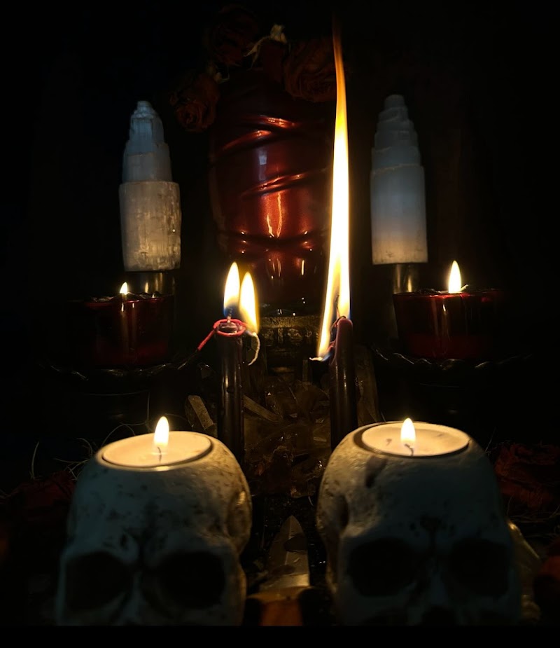 THE HEALING COSMOS READINGS photo 2