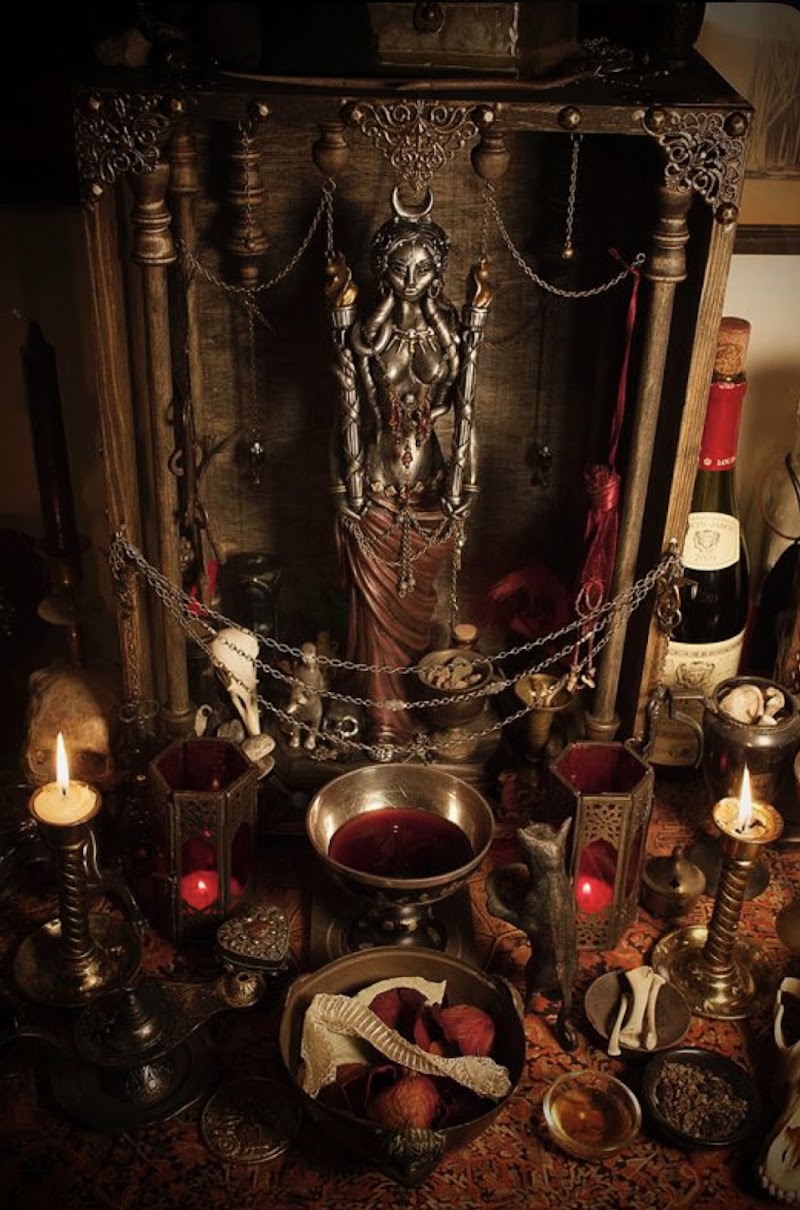THE HEALING COSMOS READINGS photo 3