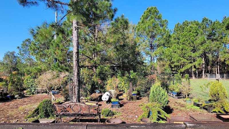 Eve's Garden, Inc photo 5