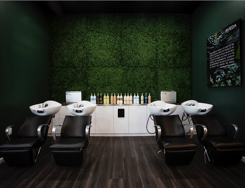 Bhava Salon AVEDA photo 5
