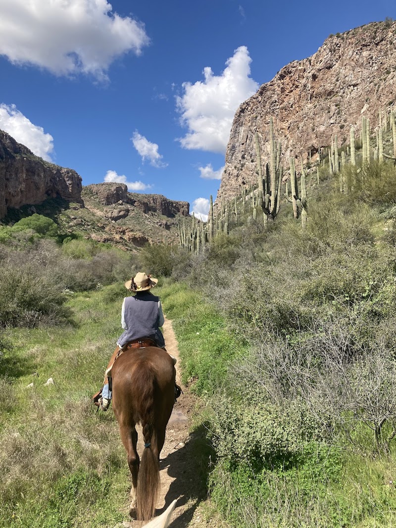 Arnett Canyon photo 5