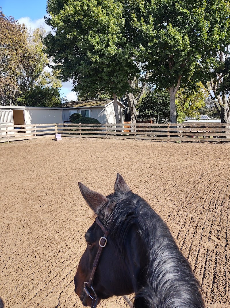 Photo of Solo Acres Boarding Stable