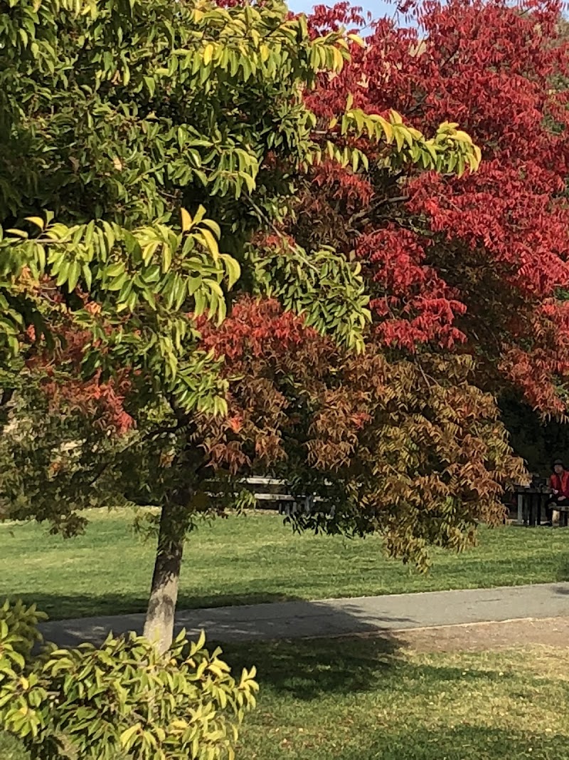 Clayton Community Park photo 4