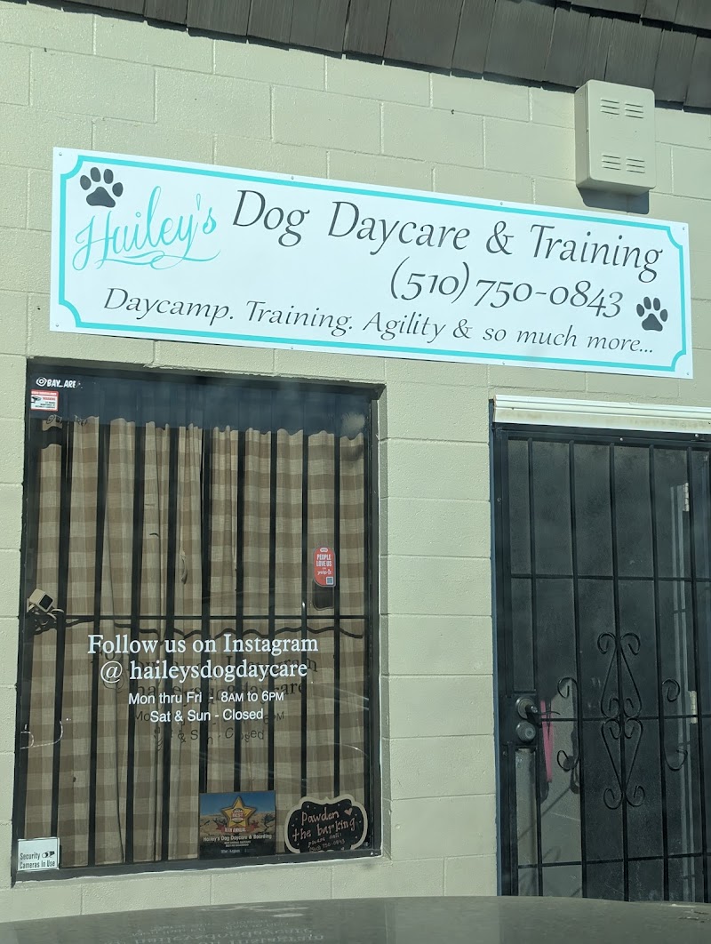Photo of Hailey's Dog Daycare & Boarding