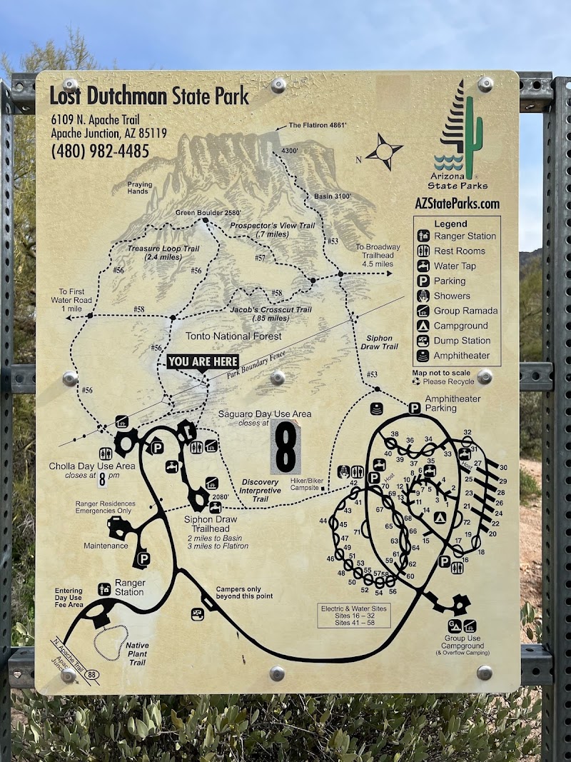 Lost Dutchman State Park photo 5
