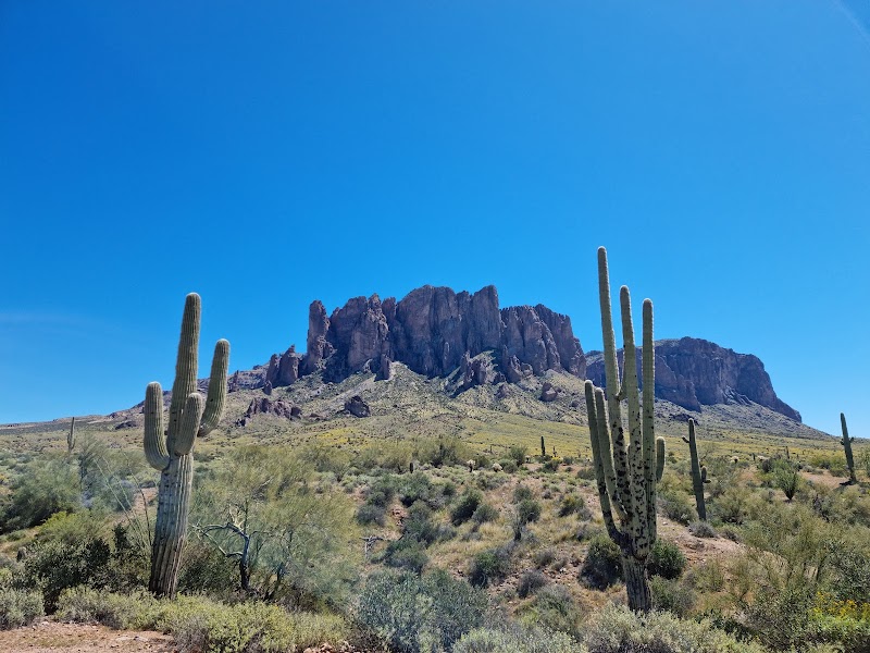 Photo of Lost Dutchman State Park