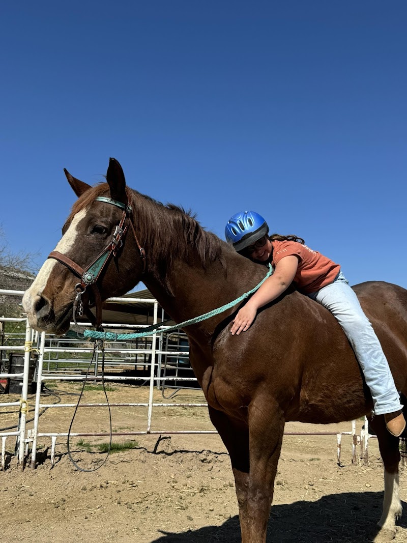 Triple T Ranch photo 3
