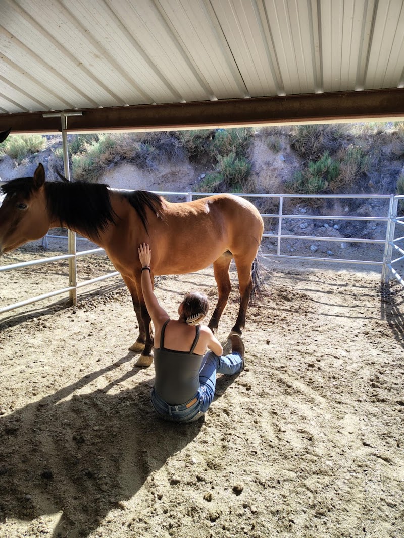 Triple T Ranch photo 5