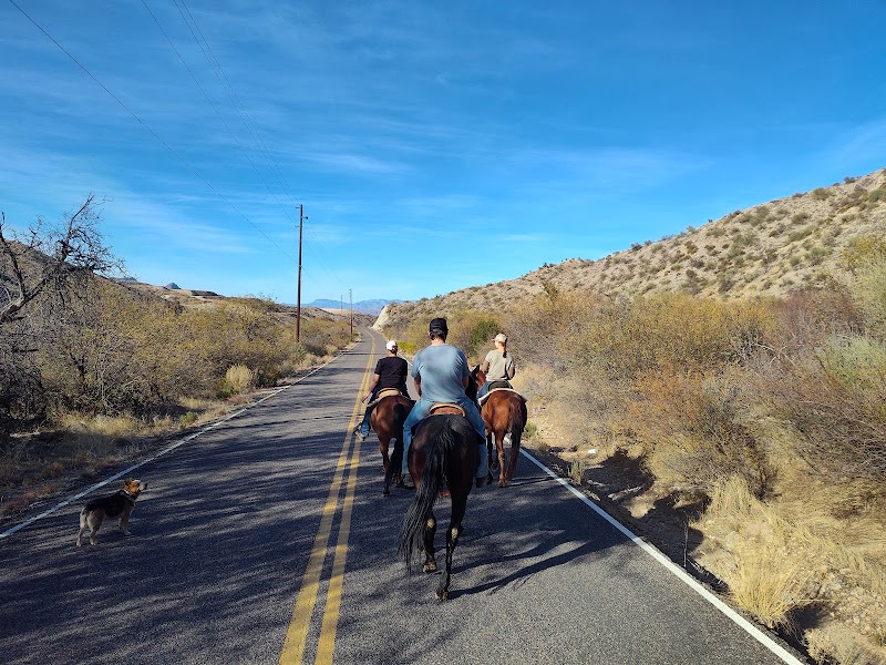 Triple T Ranch photo 4