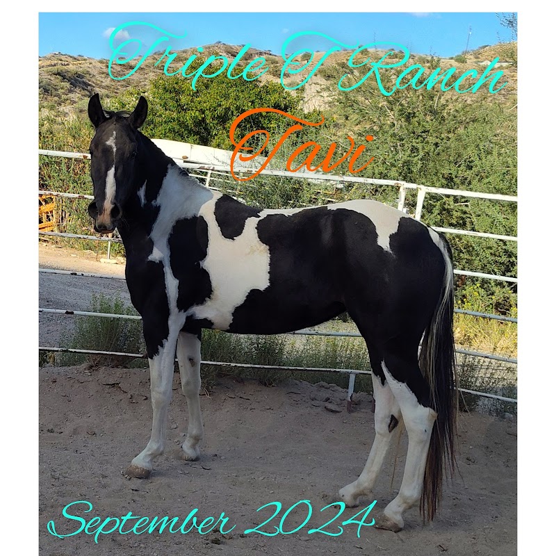 Triple T Ranch photo 2