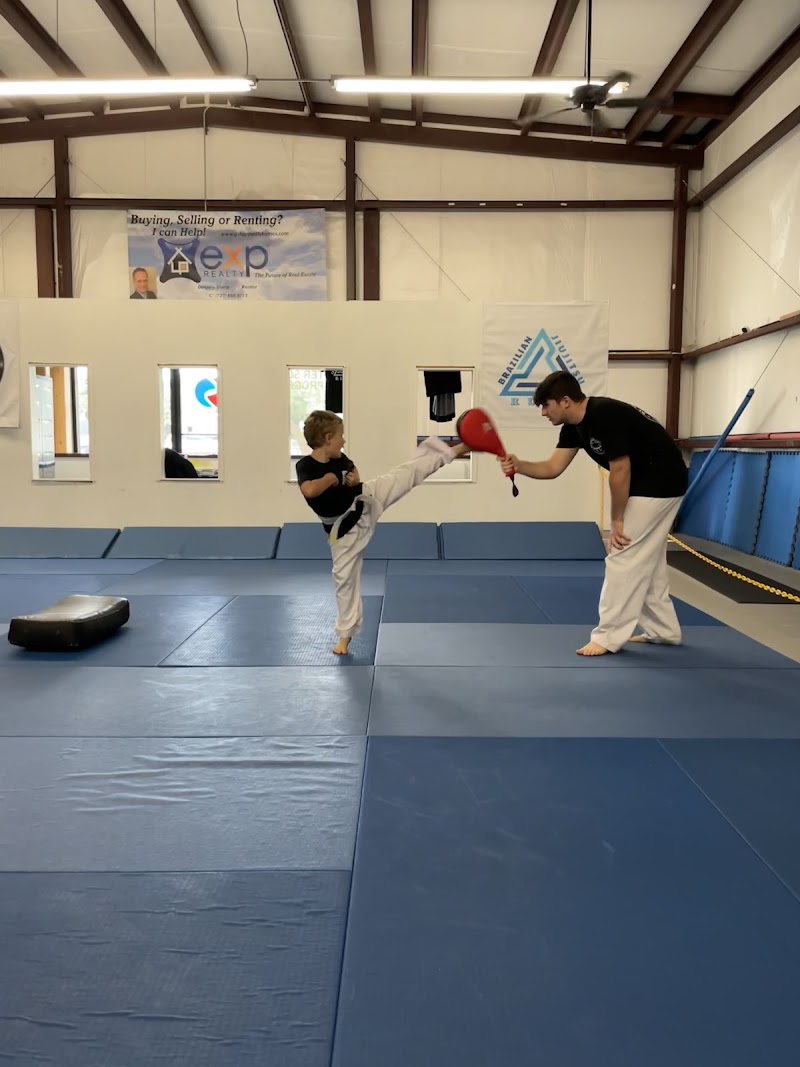RL Martial Arts Inc. photo 5