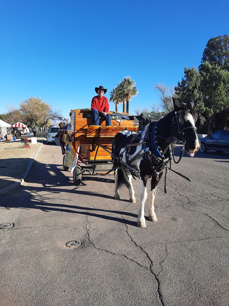 Apache Park photo 3