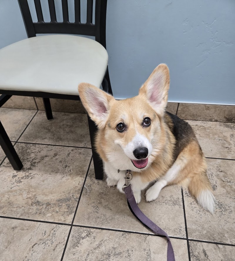 Lovet Pet Health Care - Norterra photo 3