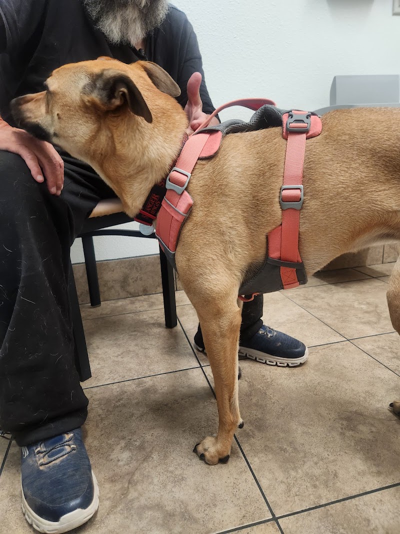Photo of Lovet Pet Health Care - Norterra