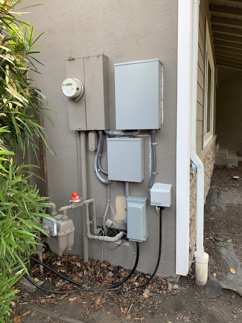 Delta Dawn Electric photo 3