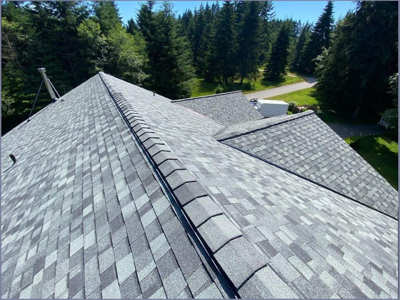 Tristan & Sons Roofing & Construction LLC photo 2