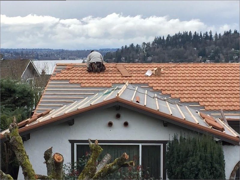 Photo of Tristan & Sons Roofing & Construction LLC