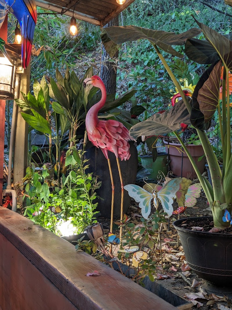 Martha's Old Mexico Restaurant photo 5