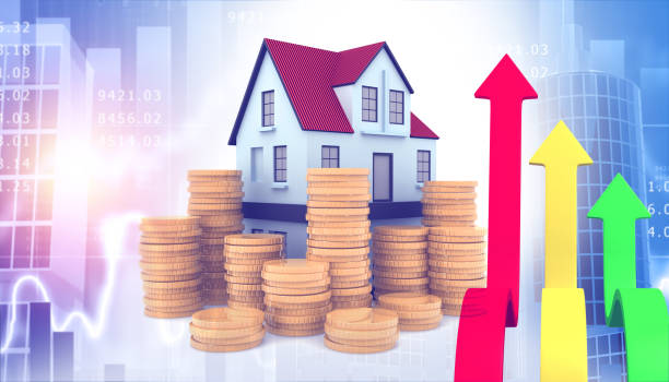 ELIM Investment Company photo 2
