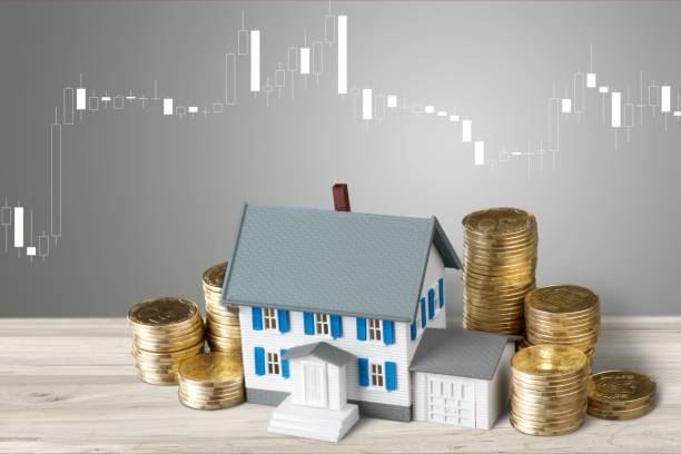 ELIM Investment Company photo 3