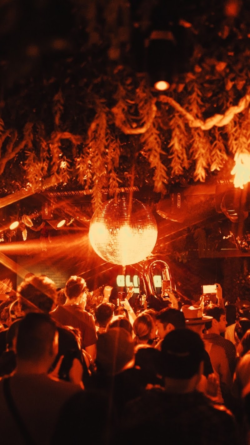 Jungle Hollywood photo 4