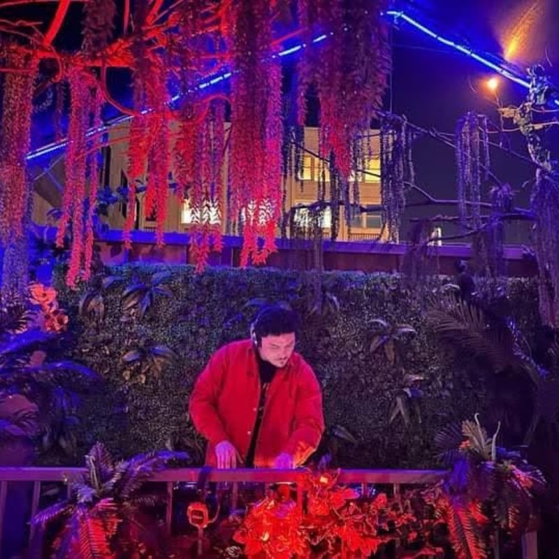 Jungle Hollywood photo 5