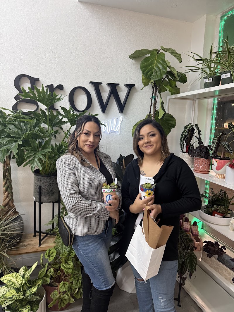 The Pilea Plant Shop photo 5