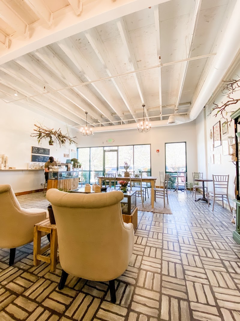 Photo of Kitty Kisses Cat Café - Tickets Required