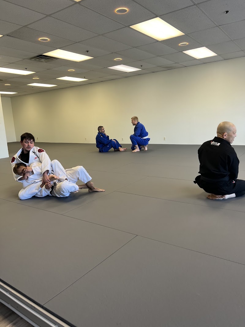 Jiu Jitsu photo 2